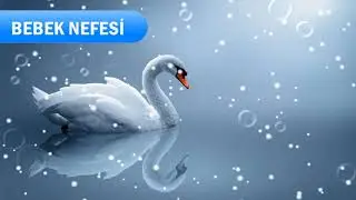 DİNLENDİRİCİ MÜZİKLER~~RÜYA~~DREAM MUSİC~~(Bebek Nefesi)