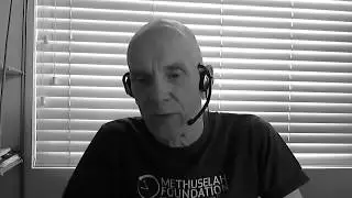 Peter Voss on AI: Having more intelligence will be good for mankind!