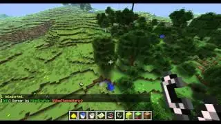 Аномалии в Minecraft