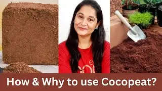 How to use coco peat in gardening | What is Coco Peat | Benefits of Coco Peat | 