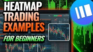 Liquidity Heatmap Trading 101: Beginners Guide