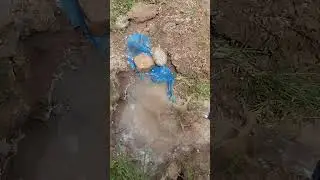 Жаны ноокат:Жаш учаскасы  ГТ 200 гдротаран,
