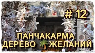ПАНЧАКАРМА 2 ДЕНЬ, ДЕРЕВО 🌳ЖЕЛАНИЙ#центрярай #индия #панчакарма #путтапарти #дели