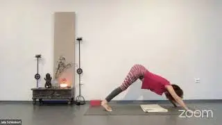 Rise & Flow l 30 min Anusara-Yoga mit Julia Schlenkert