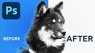 Master Photoshop CC 2025: The Secret to Removing Complex Backgrounds FAST!
