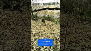 Вечерний Берег Дона