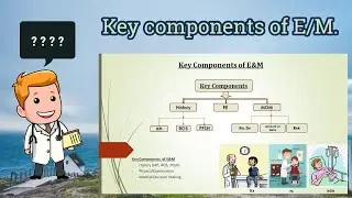Key components of Evaluation and Management (Hindi) | E/M | History, PE and MDM.