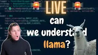 🔴 LIVE 🔴 What's LLaMA? ChatLLaMA? (and some chatgpt/instructgpt)