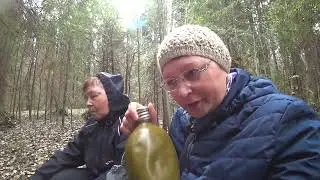 За снытью и крапивой в лес. 30 апр 2023