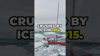 Unbelievable Stories of Survival from the Past!