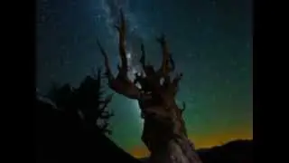 "Колодец"
