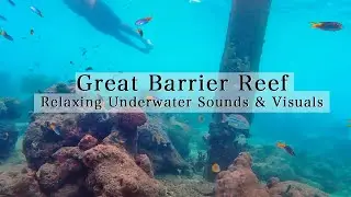 Relaxing Ocean view and sounds Great Barrier Reef - Green island