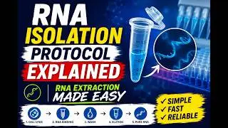 RNA Isolation Protocol