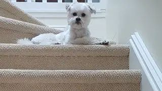 What's On Your Stairs - Right Now?