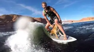 2016 Lake Powell End of Season - Dog Wakesurfing