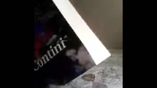Çantanın içindekiler