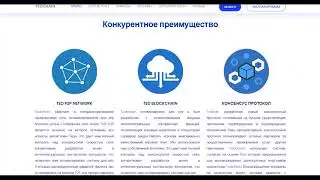 TedChain обзор проекта