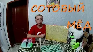 Дегустация сотового меда