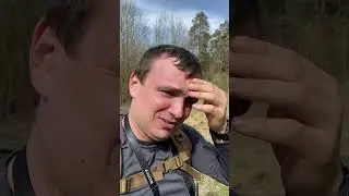 Закусали пчелы
