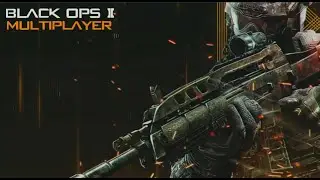 How To Play Black Ops 2 Online Multiplayer (Cybersonic)