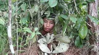 Create Primitive Rope Trap To Catch Bird In The Jungle Very Simple Method