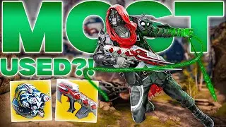THIS?! Is The Most USED Hunter Build?!