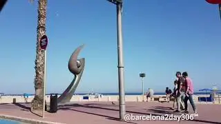 Beach Cruise: Driving Along the Shoreline Fun #sunnydays #seabreeze #lloretdemar #invitation