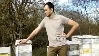 Весенняя ревизия в предгорьях