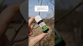 Сезон клещей? 
