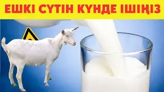 Дәл Қазір ЕШКІ СҮТІН АЛЫП Ішіңіз,  6 Ауруға ШИПА болады, Керек арнасы