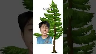 tes kepribadian 