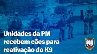 Programa Entrega K9