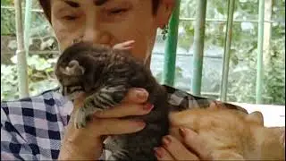 Рыжуля нашел новую семью.🐈Всем позитивной субботы.🌞🤗