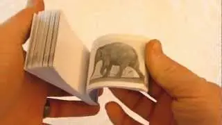 Flip books Eadweard Muybridge 1887 set 3