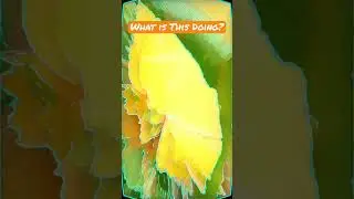 What is this dude doing in this Glitched Clip? Blade Runner-Offer? ☹️😖👀