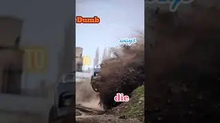 dumb weyt to die