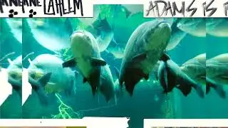 BLACK KRAY + SPACEGHOSTPURRP /// GOTHMONEYWORLD // PLUS MIKE CREEPS 1000/// MFK SCREWBOSS REMIX