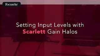 Setting Input Levels with Scarlett Gain Halos / Focusrite