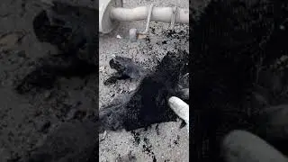 Находка в катализаторах ВИТО mercedes vito.