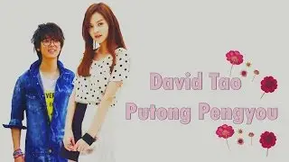 David Tao - Putong Pengyou  (Sub. Español) 普通朋友 （陶喆）