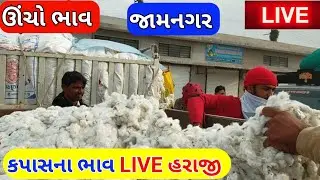 Kapas na bhav | 22-12-2023 |  live cotton trading price in APMC | commodity trading | kapas