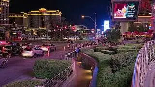 USA | Las Vegas | New York | Times Square