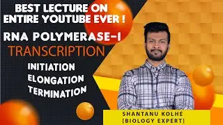 RNA Polymerase-I Transcription | Initiation | Elongation | Termination