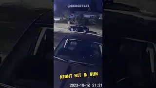 Hit my Grandmother's car and Took Off.