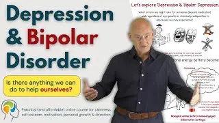 Depression & Bipolar Disorder - Could they be natural conditions that develop from exhaustion?