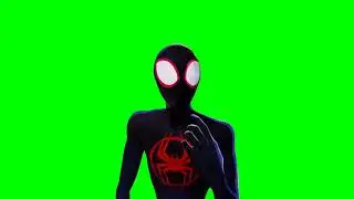 SPIDER-MAN  ACROSS THE SPIDER VERSE Green Screen || Spiderman Green Screen