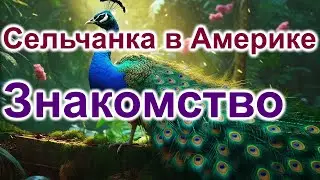 Сельчанка в Америке.Знакомство.Utica