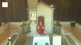 Missa a Nossa Senhora de Fátima desde a Capelinha das Aparições  12.11.2024