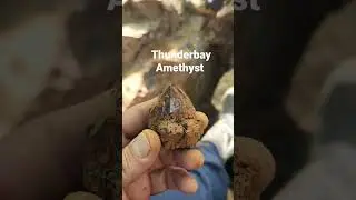 fresh dug Thunderbay Amethyst
