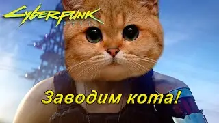 Заводим кота ► Cyberpunk 2077